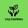 Інтернет магазин саджанців плодових, ягідних та декоративних рослин власного вирощування Сад Павлюка