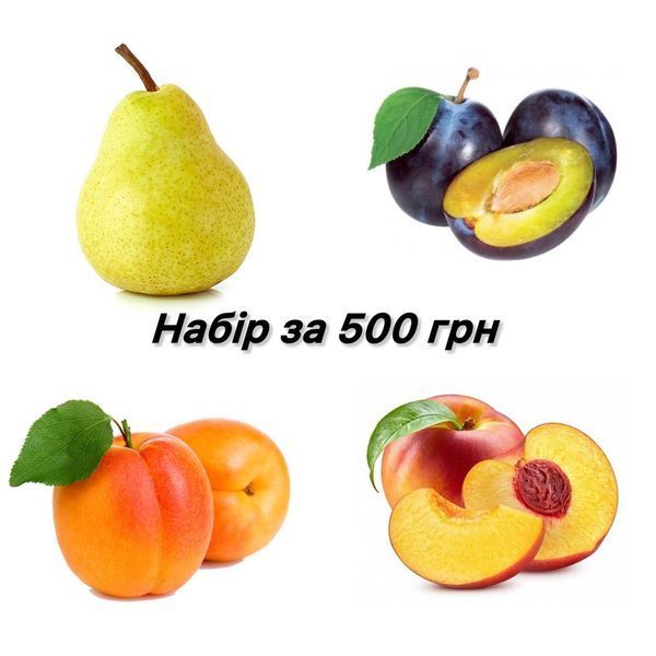 Набор 4