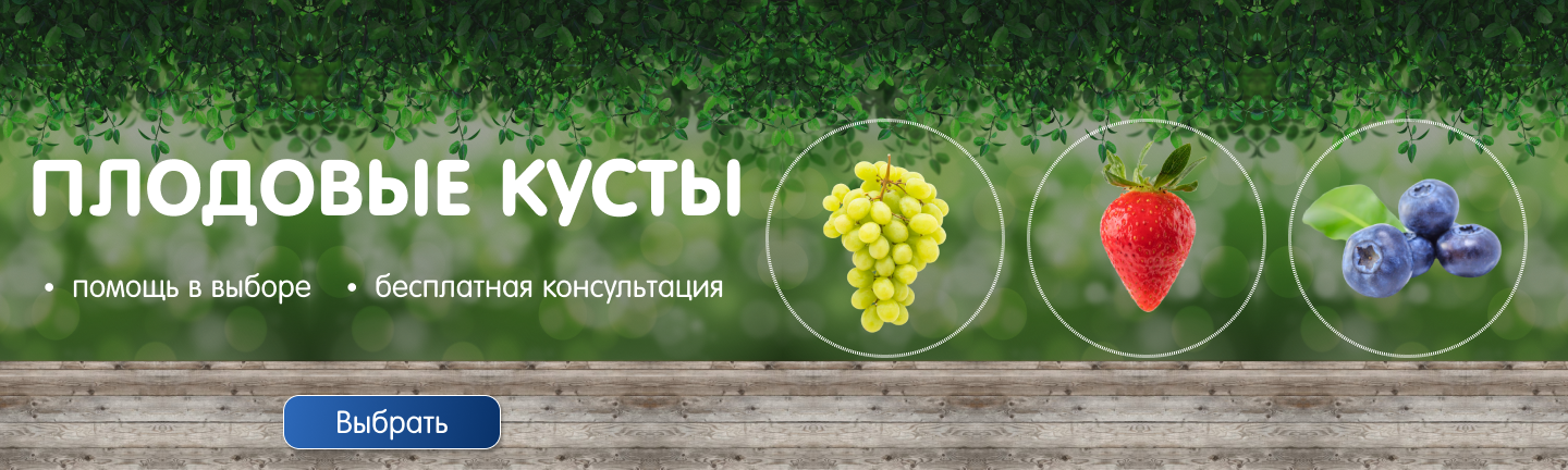 Главный баннер 1440 х 576