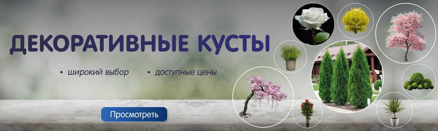 Banner from design